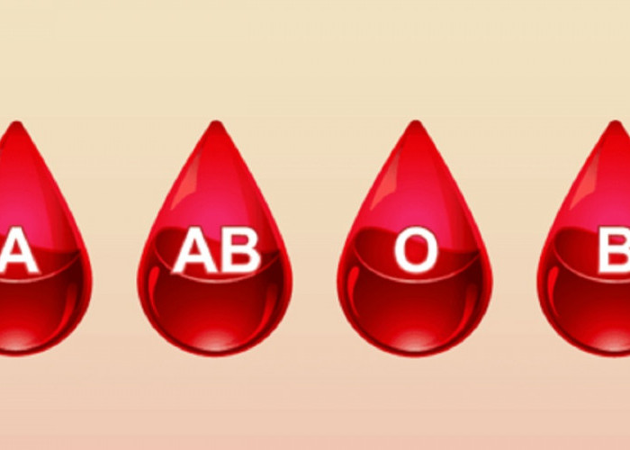 Tingkat Kesuksesan Seseorang Dilihat Dari Golongan Darah, Kamu yang Mana? 