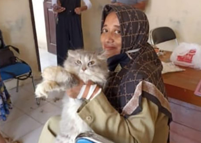 Ratusan Hewan Peliharaan di Tanggamus Lampung Dapat Vaksin Rabies 