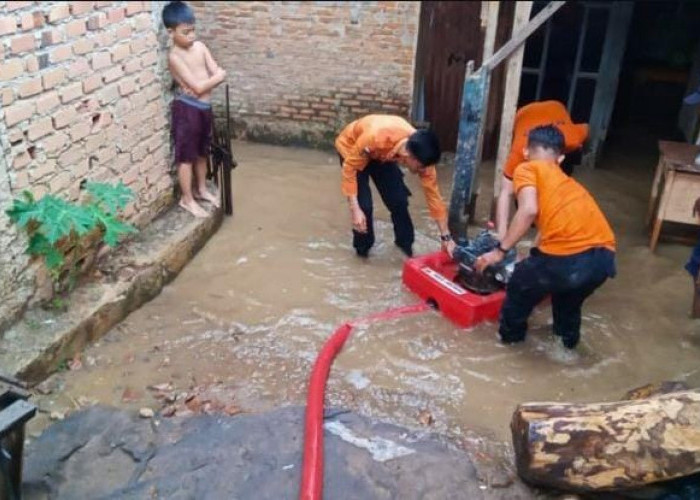 Cuaca Ekstrim Bakal Hantui Warga Lampun, Waspada Potensi Banjir dan Pohon Tumbang 