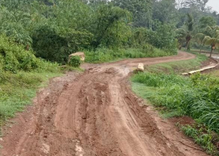 Jalan Desa Rusak Parah, DPUPR Lampura Janji Perbaiki Tahun 2025