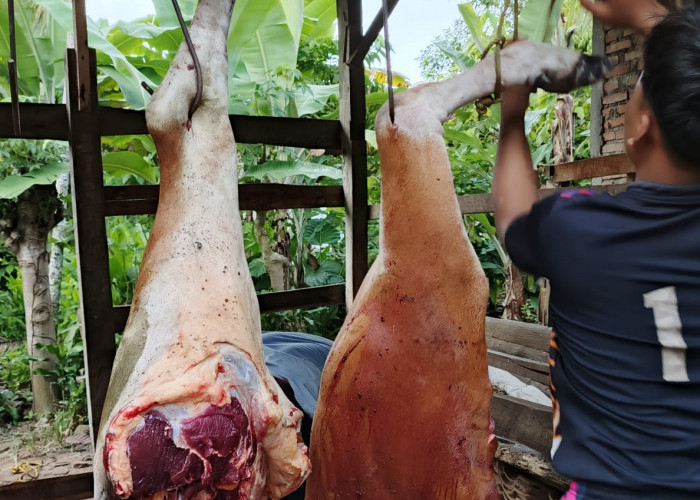 ​Jelang Ramadan, Harga Daging Sapi di Mesuji Tembus Rp150 Ribu per Kilogram