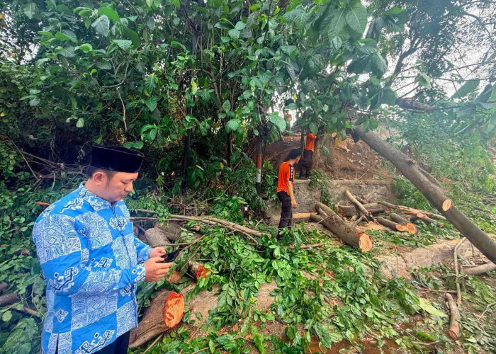Angin Kencang Pohon Tumbang, Dua Orang Alami Luka