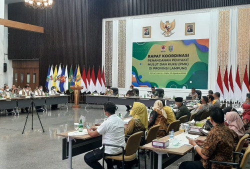 BNPB Yakin Lampung Dapat Menjadi Provinsi Ke 7 Zero Kasus PMK