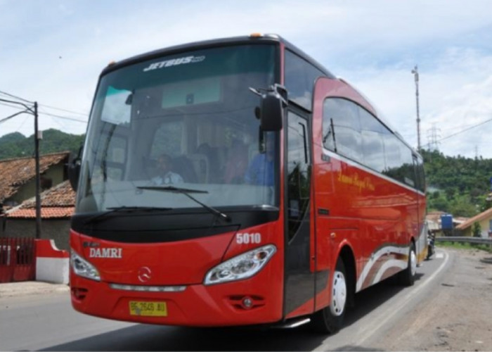 Nggak Jadi Berangkat dengan Bus Damri Lampung, Simak Cara Refund atau Reschedule Tiket yang Sudah Dibeli 
