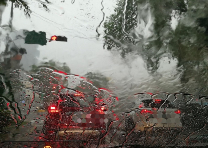 Hujan Deras dan Angin Kencang Intai Mesuji, BPBD Ingatkan Warga Waspada Pohon Tumbang