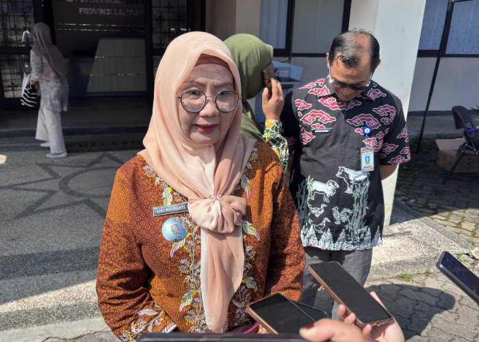 16 Sapi Kurban Presiden untuk Lampung, Terberat Capai 1.124 Kg
