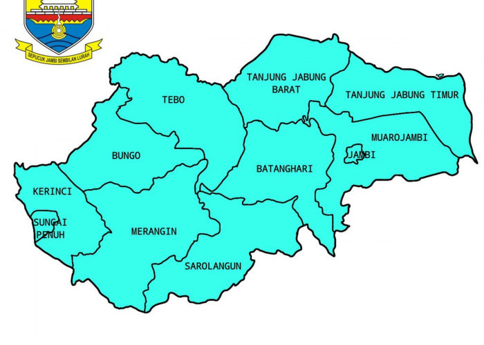 Perlu Tahu! Ini Daftar Wilayah di Provinsi Jambi, Terdapat 9 Kabupaten dan 2 Kota Begini Rinciannya 
