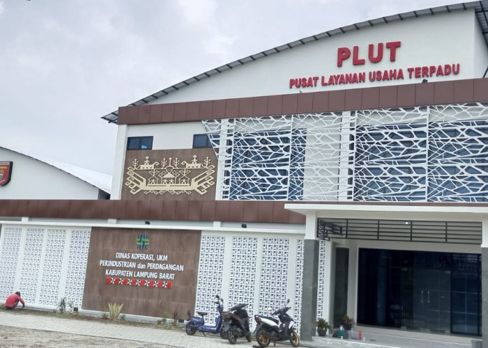 Pemkab Lampung Barat Rekrut Konsultan PLUT KUMKM untuk Enam Jabatan, Berikut Syarat Bagi Pelamar
