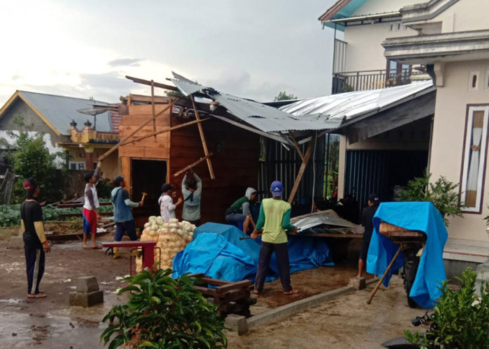 Puting Beliung di Lampung Barat, Delapan Rumah Rusak, Begini Kondisinya 