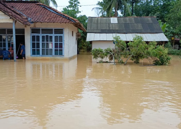 Curah Hujan Tinggi 6 Desa di Mesuji Lampung, Terendam Banjir