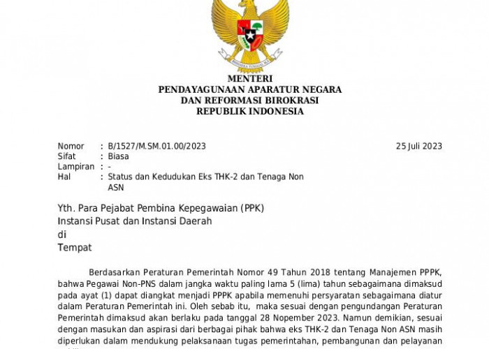 Berpeluang Tinggi Jadi PPPK, Begini Reaksi Honorer Lampung Usai Menpan RB Keluarkan Surat Saktinya
