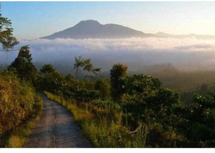 3 Gunung di Lampung yang Miliki Misteri, Patut Dicoba