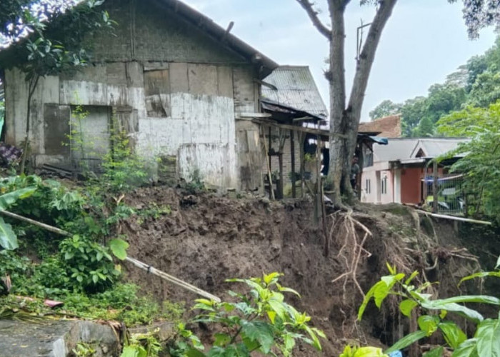 Pasca Longsor di Kelurahan Panjang, Ada Warga Menjerit Belum Tersentuh Bantuan