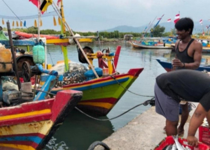BMKG Maritim Lampung Keluarkan Peringatan Dini Gelombang Tinggi di Wilayah Perairan Ini