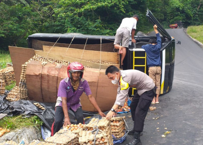 Tak Kuat Menanjak, Mobil Muatan Telur Ayam Terguling di Lampung Barat, Begini Kondisinya  