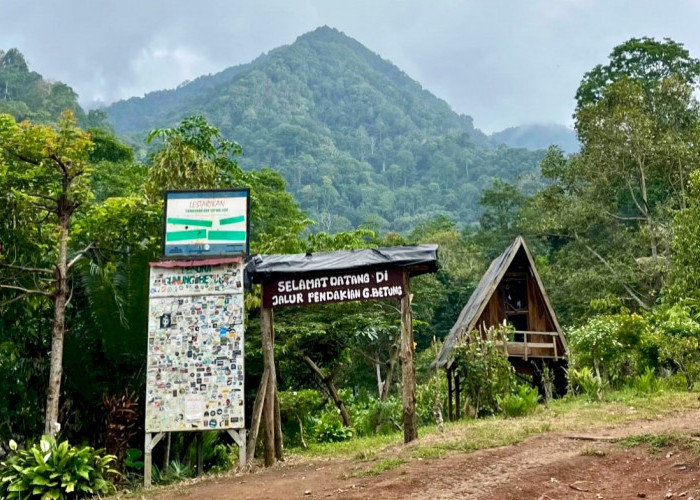Hanya 1 Jam Dari Bandar Lampung, Wisata Air Terjun Gunung Betung, Suguhkan Pemandangan Alam Nan Asri 