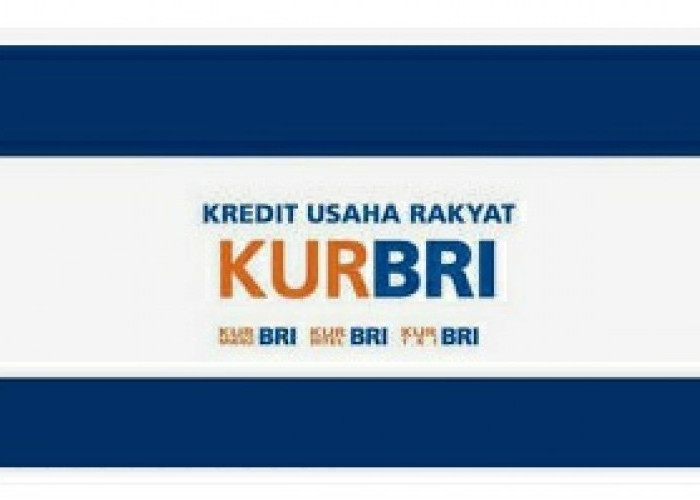 Panduan Pinjaman Bisa Cair KUR Bank BRI