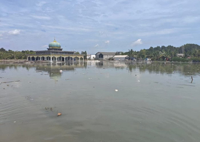 Antisipasi Bencana Hidrometeorologi, Pemkab Tulang Bawang Akan Bentuk Posko Gabungan