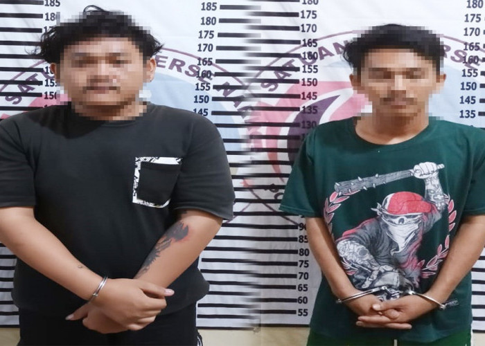 Polisi Sita 396 Butir Excimer dari Dua Pengedar, Apa Itu Excimer? 