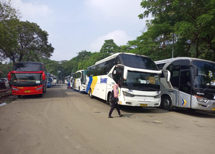 Soal Kabar Harga Fantastis Harga Bus Damri dari Stasiun Gambir-Lampung,  Berikut Penjelasan PO Damri Lampung