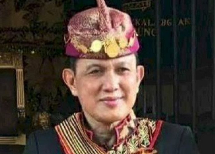 Edward Syah Pernong Jadi Ketua Tim Pemenangan Ganjar di Lampung