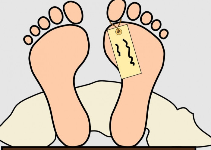 Geger! Pelajar SMK Di Lampung Ditemukan Tewas Membusuk di Kebun Sawit Tulang Bawang 