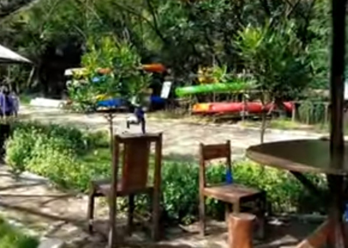 Cari tempat Refreshing , Cobain Deh Sensasi Staycation di Taman Wisata Angke Jakarta Utara 