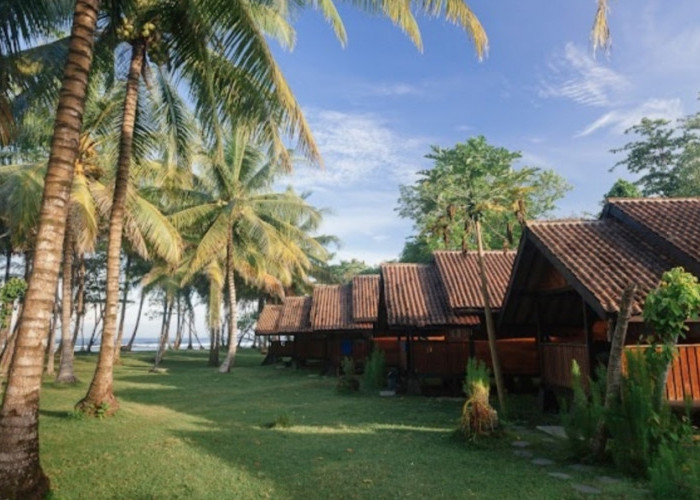 Sumatra Surf Resort Pesisir Barat, Alternatif  Liburan Akhir Tahun, Kolam Renang View Sunset Samudra Hindia 