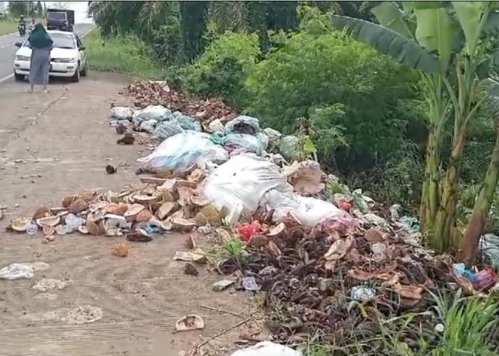 DLH Mesuji Imbau Pedagang Durian jangan Buang Sampah Sembarangan