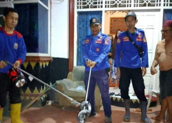 'Bertamu' ke Rumah Warga Malam Hari, Ular Kobra Diciduk Damkar Tulang Bawang