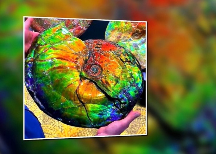 Batu Ammolite si Cantik yang Mampu Tampilkan Pola dan Warna Luar Biasa