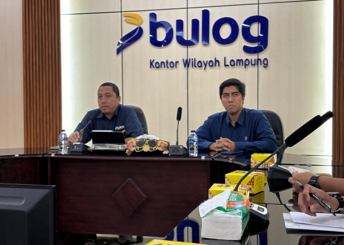 Lampaui Target, Bulog Lampung Diproyeksi Serapan 2026 Tembus 250 Ribu Ton