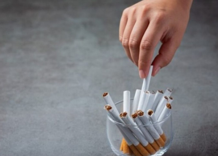 Harga Rokok Bakal Naik Per 1 Januari 2025, Cek Daftar Lengkapnya