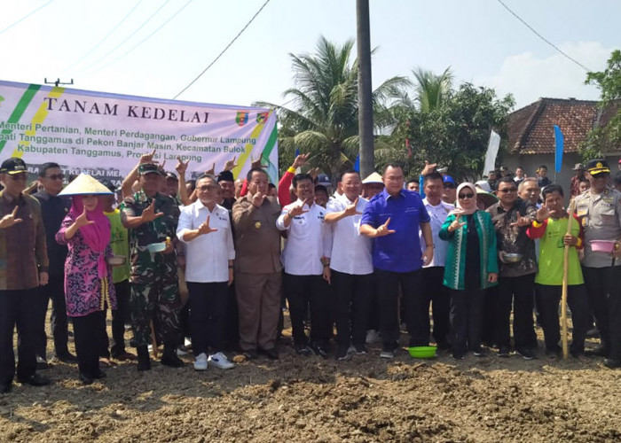 Menteri Pertanian dan Menteri Perdagangan Ikuti Gerakan Tanam Kedelai di Tanggamus