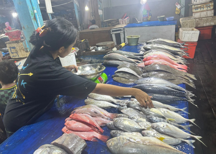 Terang Bulan Bikin Tangkapan Nelayan Menipis, Harga Ikan di Gudang Lelang Naik