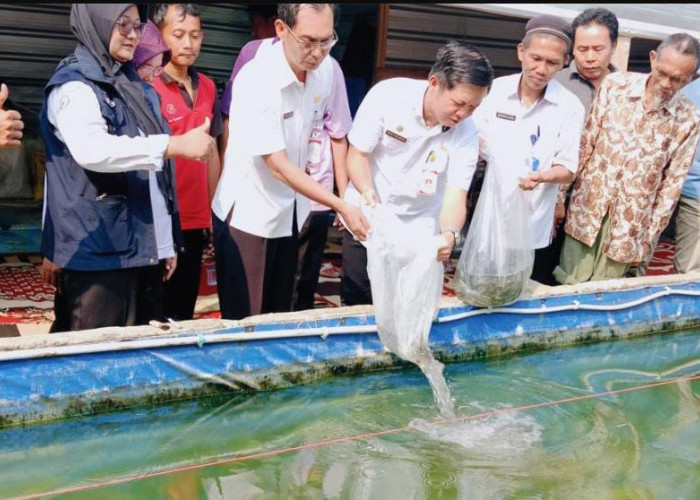 Dongkrak Produktivitas Ikan Air Tawar, Pemkab Tulang Bawang Bagikan Benih Ikan kepada Delapan Pokdakan