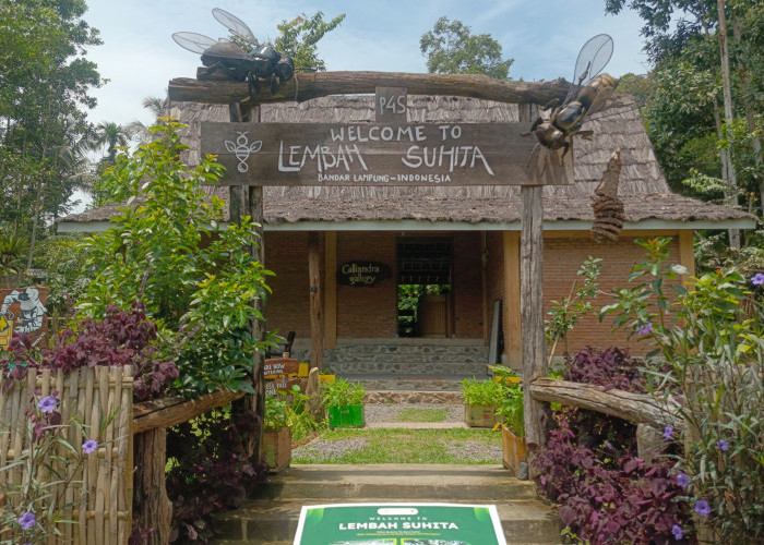 Menyusuri Lembah Suhita: Eks Lahan Tambang di Bandar Lampung yang Disulap Jadi Surga Eduwisata Lebah Madu