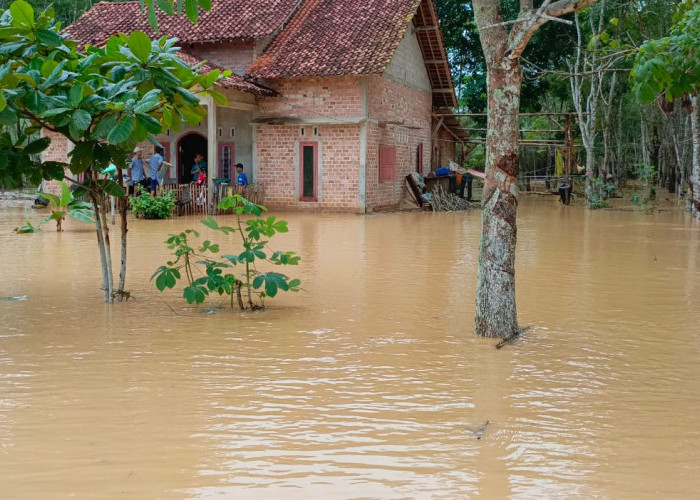Ada 63 Rumah Warga yang Terendam Banjir dan Ratusan Hektar Lahan Perkebunan dan Persawahan 