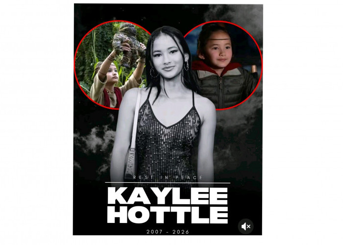 Kaylee Hottle Aktor Godzilla Vs Kong Meninggal Dunia, Ini Kronologinya 