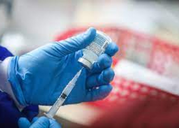 Cegah Penularan Rabies, Pemkab Mesuji Siapkan 300 Dosin Vaksin