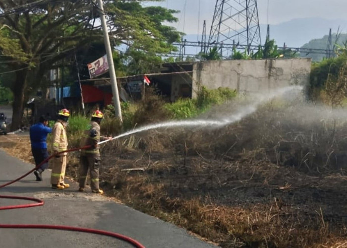 Marak Kebakaran Lahan di Musim Kemarau, Damkarmat Bandar Lampung Catat 3 Insiden Berturut-turut