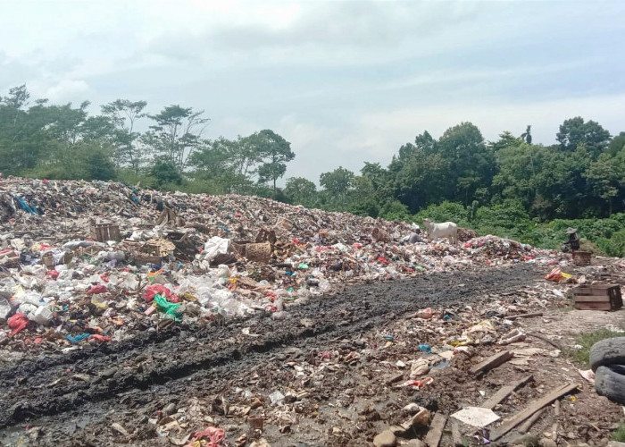 Kolam Penampung tak Maksimal, Tumpukan Sampah Kian Menggunung