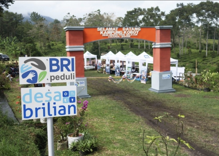 Jangkau 5.245 Desa BRILiaN, BRI Perluas Dukungan bagi Pengembangan Ekonomi Desa