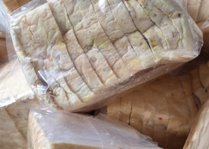 Roti MBG di Pasar Liwa Ditemukan Berjamur, Satgas Jatuhkan Sanksi
