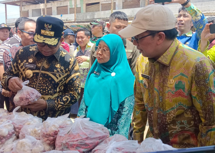 Tinjau Gerakan Pangan Murah di KTM Mesuji Timur, Pj Gubernur Lampung Beri Pesan Penting Berikut