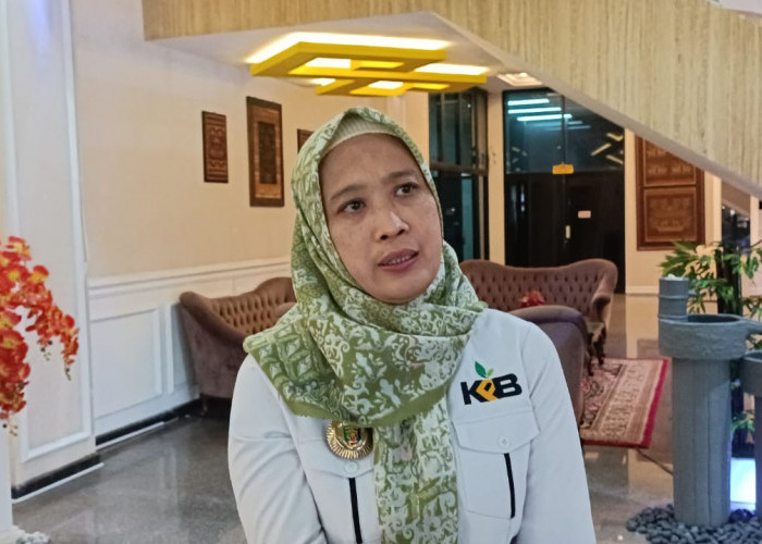 Disperindag Catat Ada 14 Perusahaan Yang Kirim Minyak Goreng Curah ke Lampung