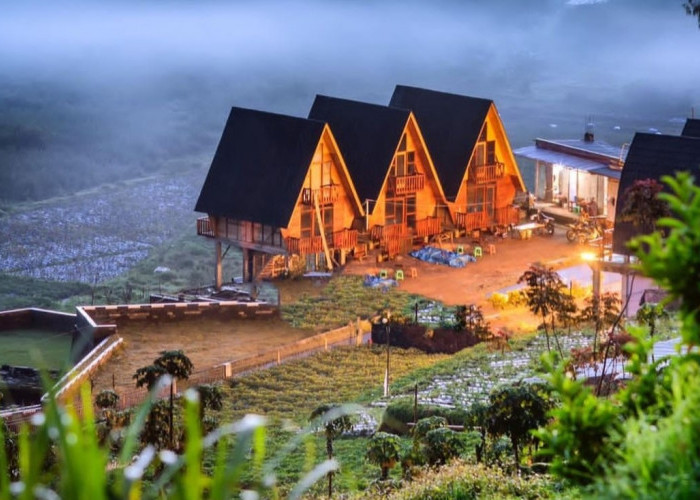 3 Penginapan Cabin Dieng di Jawa Tengah, Konsep Unik Bak Homestay di Eropa 
