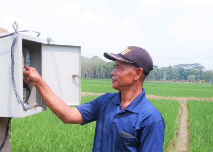 Modernisasi Pertanian Lewat Electrifying Agriculture PLN, Dorong Petani di Lampung Raup Untung