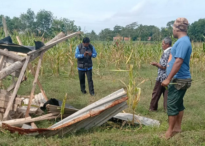Ini Saran DPRD Lampung Timur untuk Mengatasi Konflik Gajah Dengan Masyarakat Desa Penyangga 