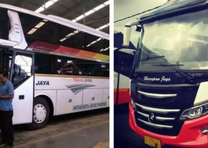 Daftar Harga Tiket hingga Jam Berangkat Transportasi PO Bus Solo dan Lampung,